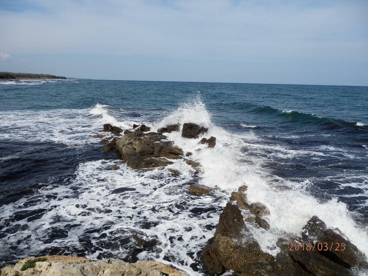 location vacances Linguizzetta Esterno foto