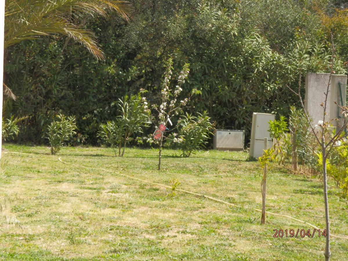 location vacances Linguizzetta Esterno foto
